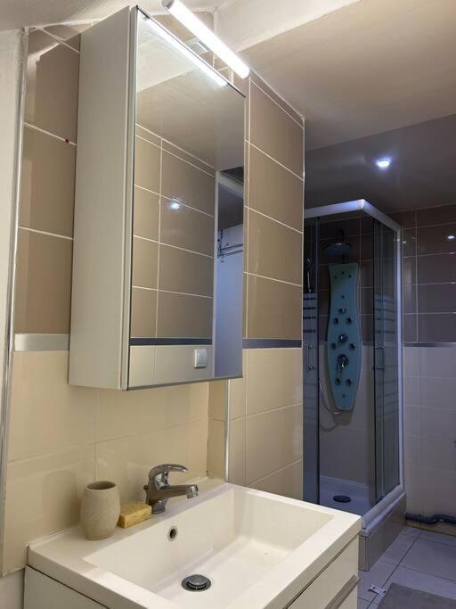 Cosy Studio - 10 Min Away From Cdg Aeroport - 30 Min Away From Paris - Parc Asterix - Olympic Games 2024 Ле-Тие Экстерьер фото